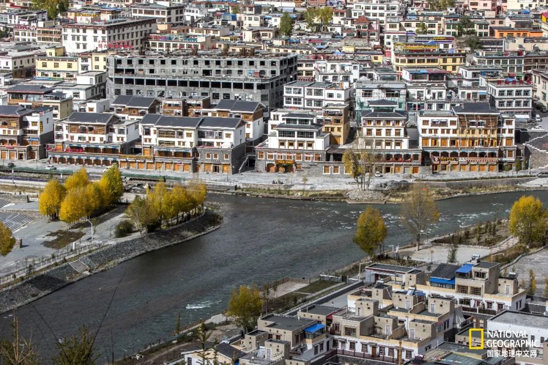 可可西里爱而不得,不要盲目向往可可西里