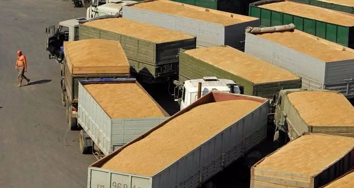 新冠疫情对粮食的影响,联合国发出疫情期间粮食警告