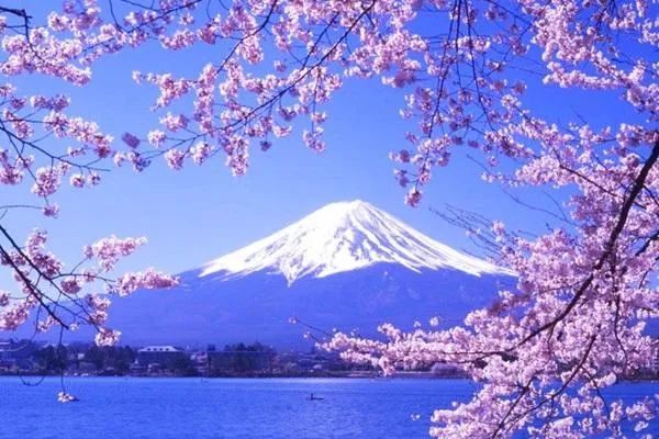 一款被疫情所误的“黑科技”洗衣球正在团购，价格不到原价的三分之二，可以免放洗衣液用三年