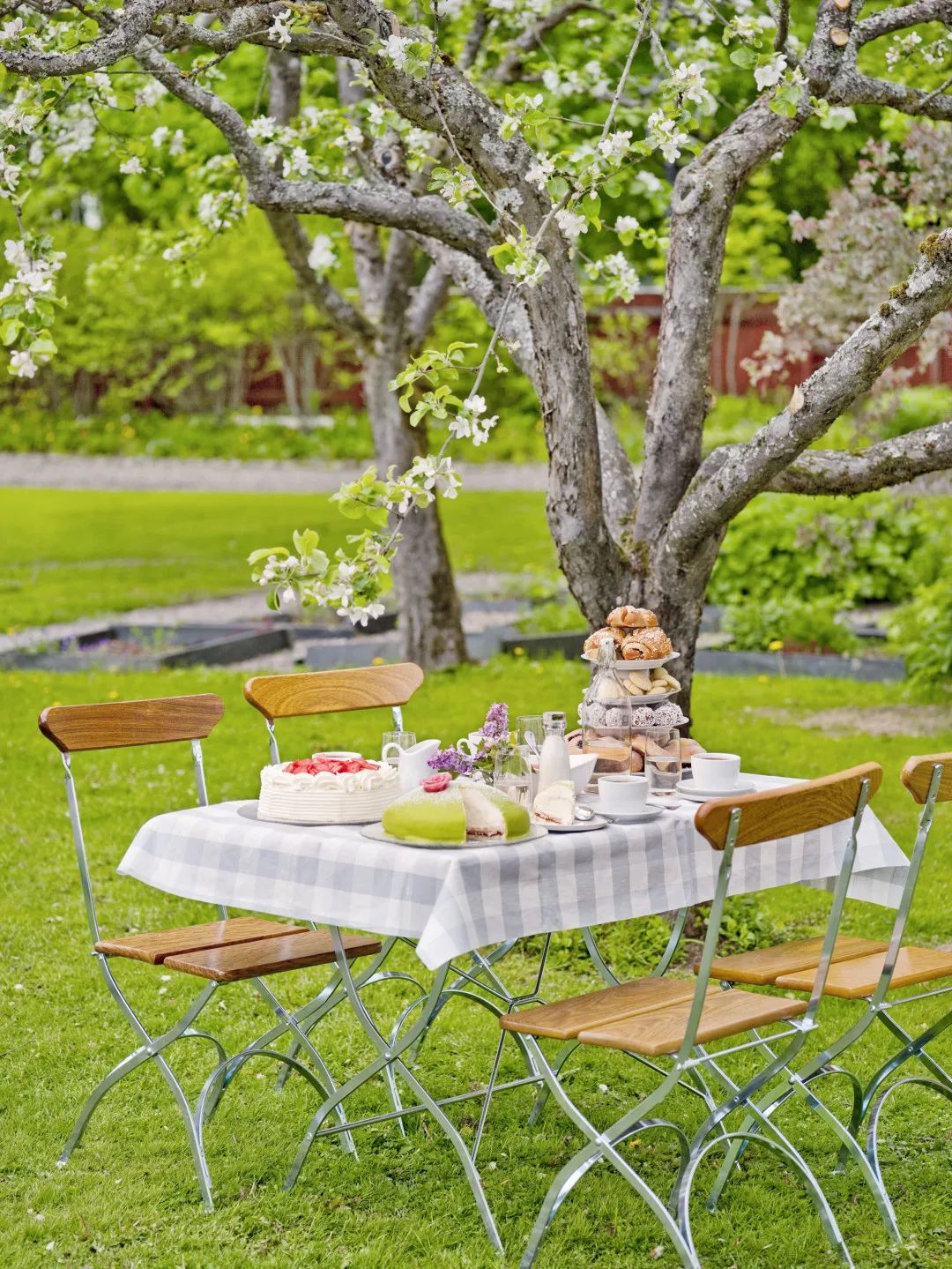 宅家的日子里也要过好,宅家的日子里