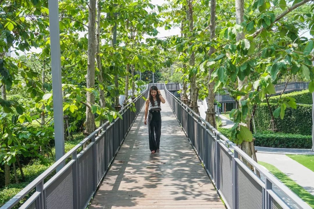 在泰国曼谷生活视频,生活在清迈的真实感受