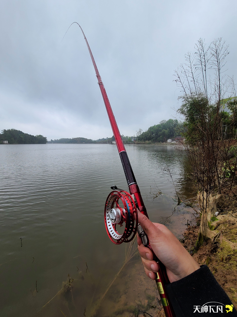 凤凰涅盘浴火重生对火的崇拜,凤凰涅盘浴火重生需要的是勇气