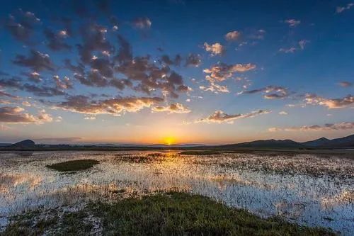 林语堂生活的艺术原文,林语堂生活的艺术摘抄