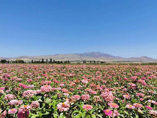 南北疆深度环线8日游,南北疆30天旅游攻略