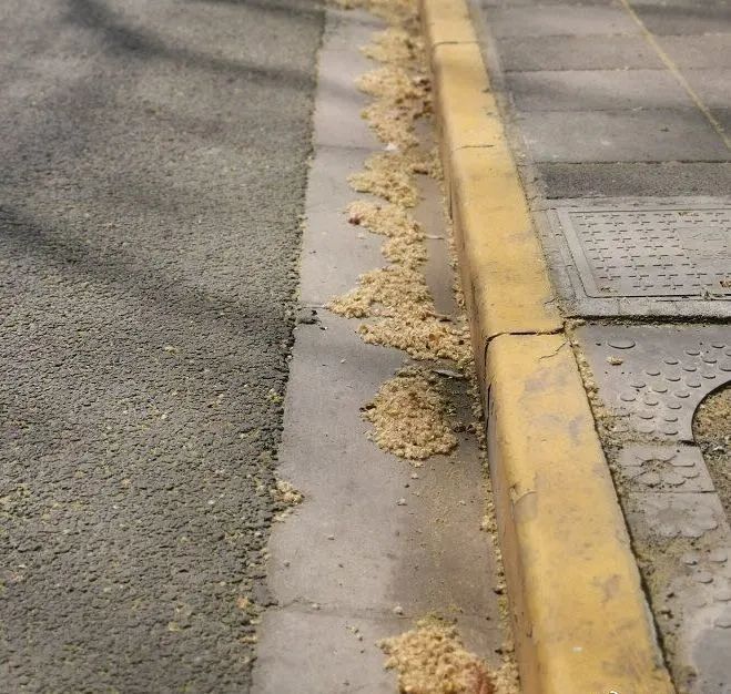 又见梧桐诗词,又见梧桐飘絮完整版