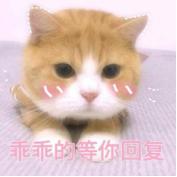 网红防晒霜大测评,防晒霜测评红榜博主