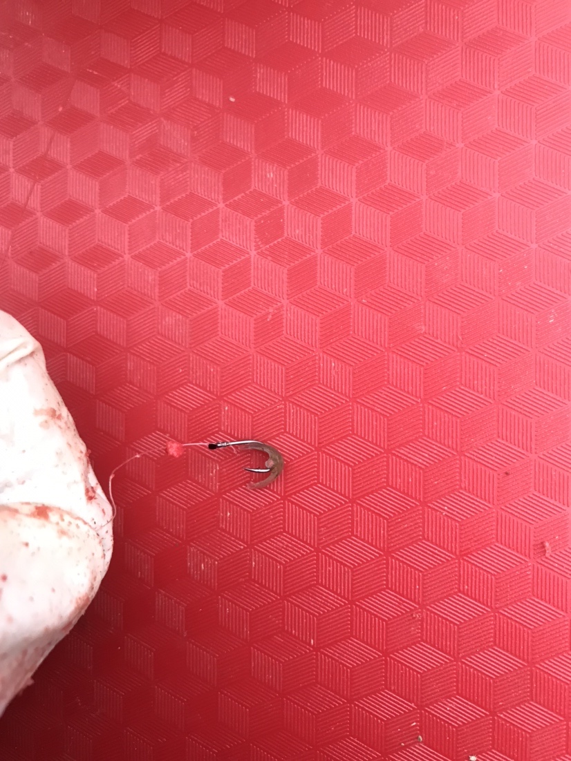 钓鱼独行者,野钓独行者