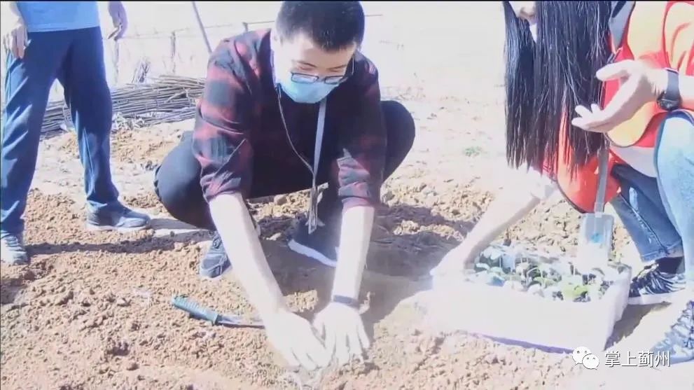 生活帮鲜果小镇,生活帮餐饮