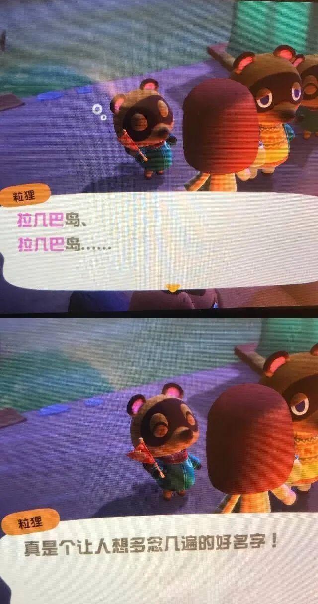 动森最赚钱的东西,动森发家致富