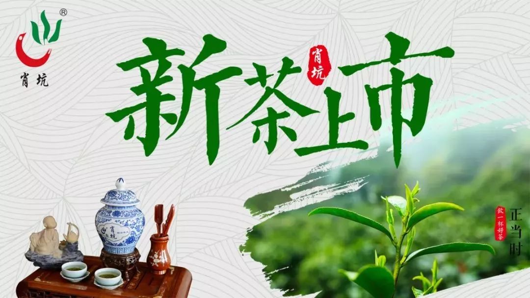 2020新茶上市|肖坑邀您一起直播采茶！