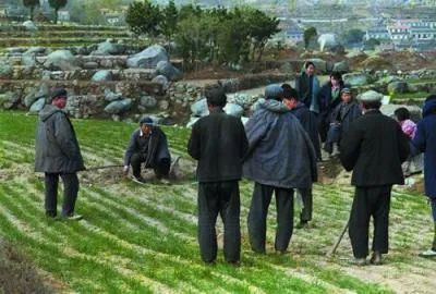 刘同山等：从大包干到现代农业发展：安徽凤阳县的经验与启示