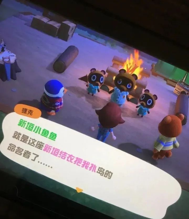 在哪可以看到动森,动森还有人吗