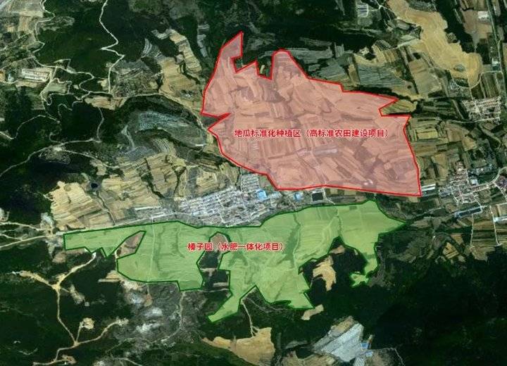 初村镇：青山绿野中，乡村产业书写美丽画卷