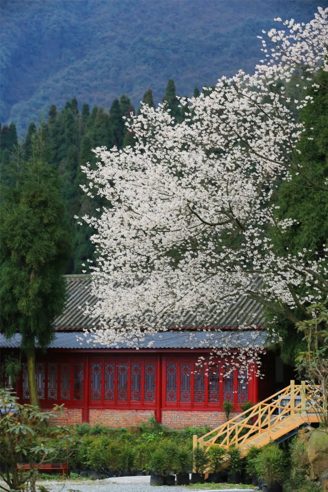 成都都江堰融创乐园有什么好玩的,都江堰融创乐园穿越四川