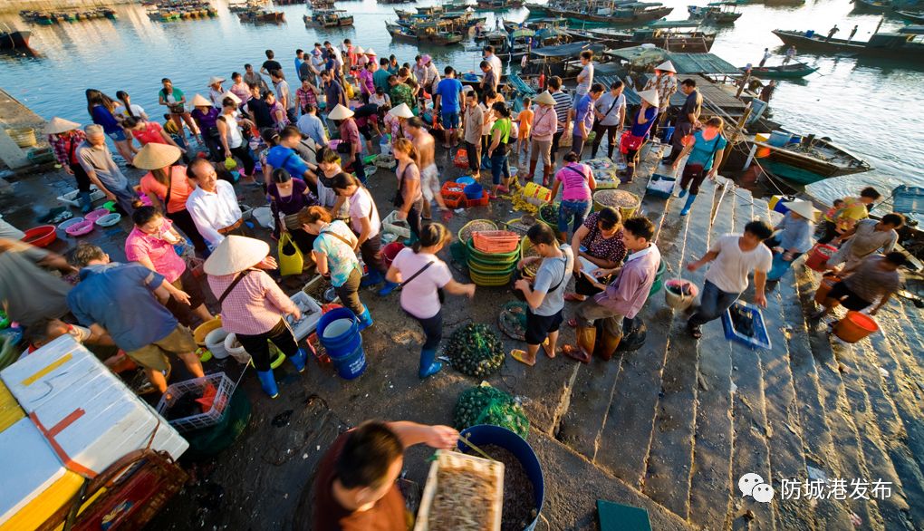 防城港休渔期可以赶海吗,禁渔期防城港码头买海鲜