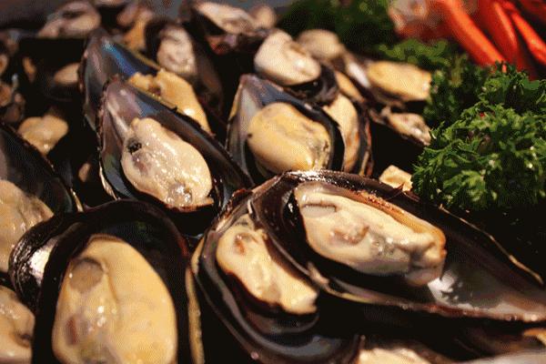 防城港休渔期可以赶海吗,禁渔期防城港码头买海鲜