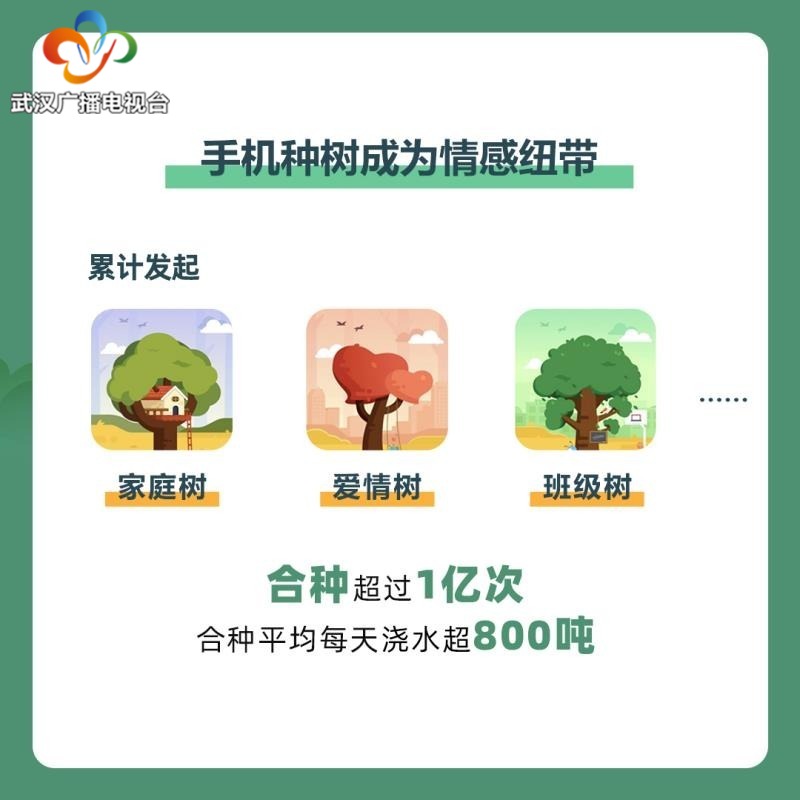 爱与武汉一起“解封”：“爱情树”见证结婚复婚升温