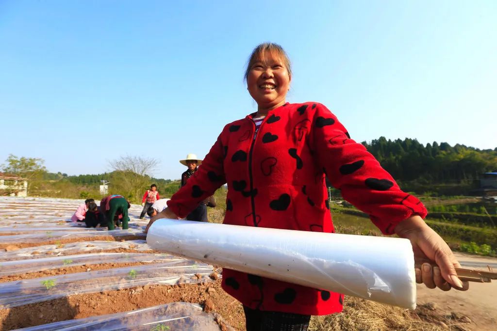 经济日报乡村文化振兴,经济日报关于脱贫攻坚的成就