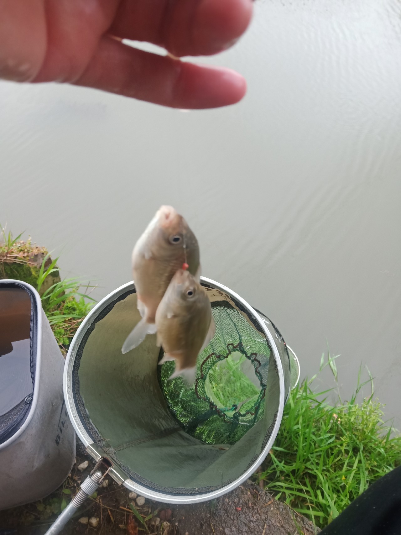 台钓vs路亚哪个更好玩,传统钓比台钓更容易钓获大鲫鱼