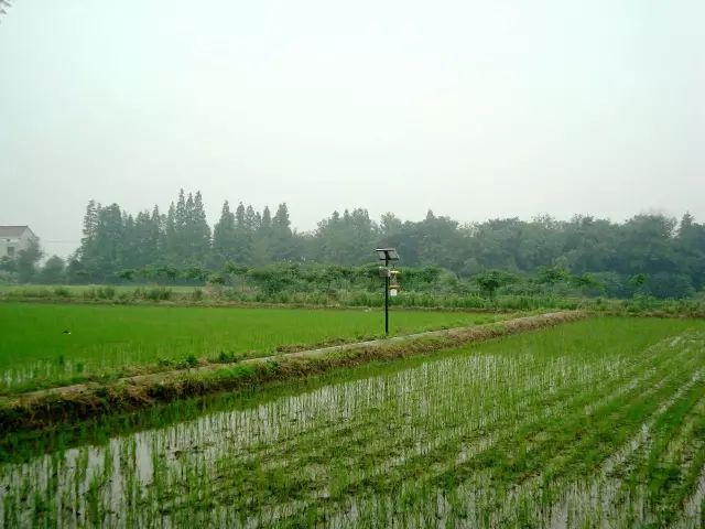 常州周末旅游景点推荐,常州最美乡村