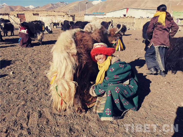 山沟里走出金凤凰,穷乡僻壤飞出金凤凰