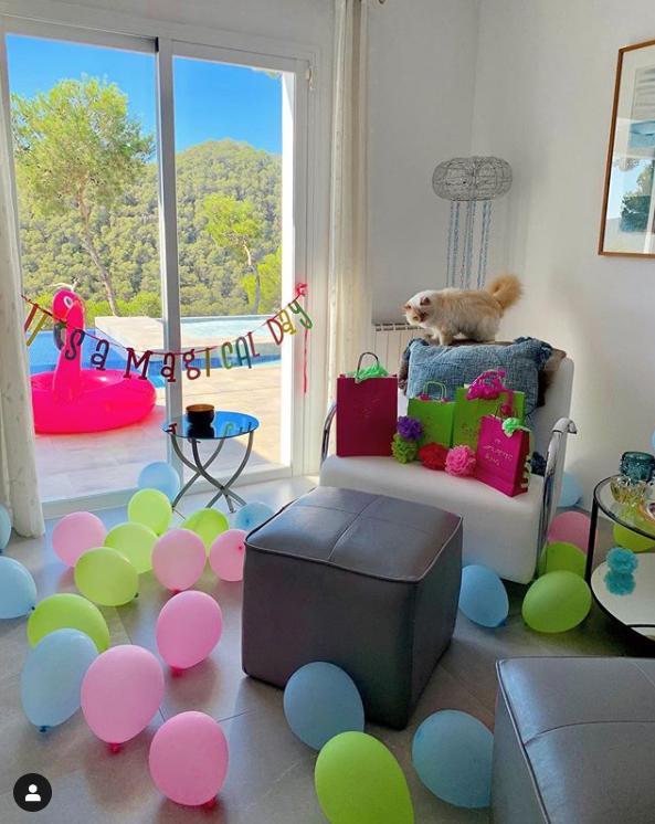 21亿遗产继承猫,继承21亿财产的猫