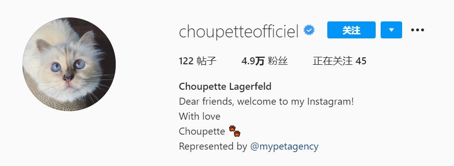 21亿遗产继承猫,继承21亿财产的猫