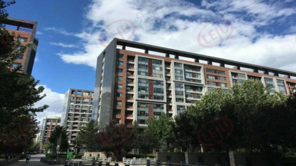 老中医买房,过来人给年轻人的十大购房建议