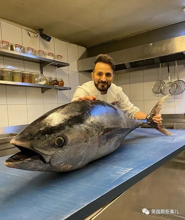 娣辨捣鎬奔缇庨,娣辨捣鎬奔鍒朵綔