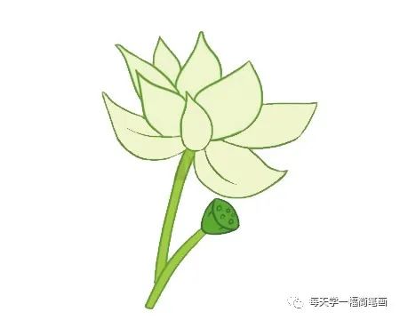 荷花和荷叶简笔画怎么画慢视频,荷花手抄报简单又漂亮简笔画