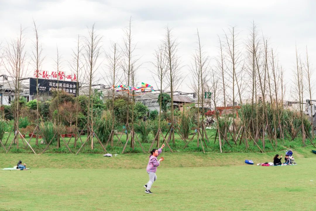 重庆最大的花市需要门票么,重庆最大的花市怎么走