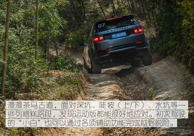 归来仍是雄心少年,归来犹是少年时