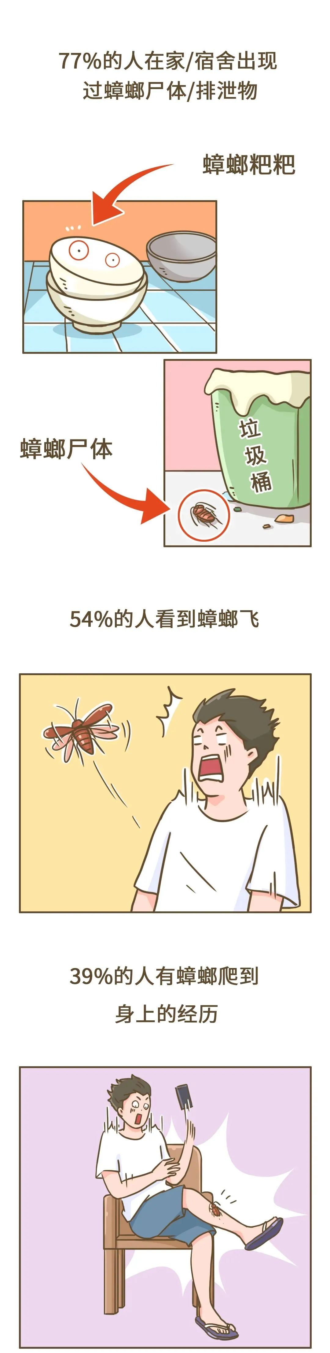 居家如何预防蟑螂滋生,家庭消杀小贴士蟑螂蚊子