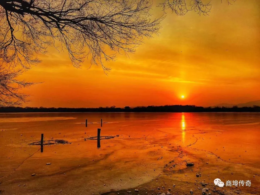 郑长春长篇小说连载：青台镇