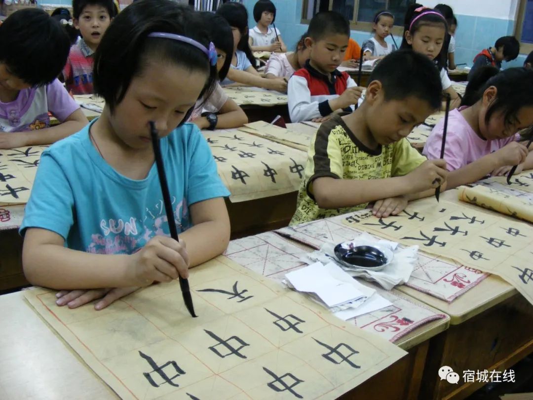 宿城有哪些学校,宿城区学校有哪些