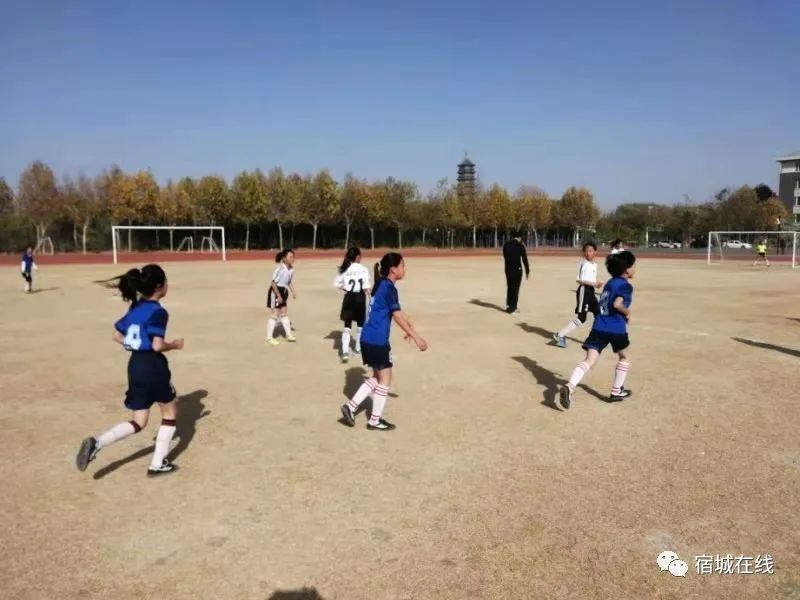 宿城区即将新增的学校,宿城区2024年有新建学校吗