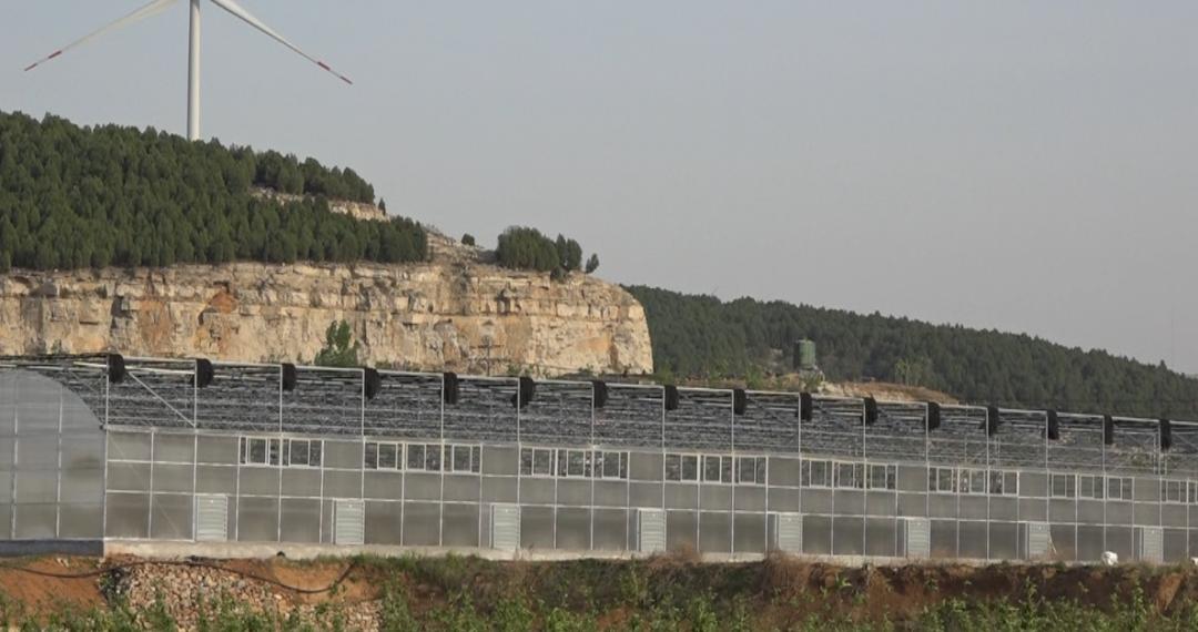 【桃园动态】中财华融国际金融集团到桃园镇实地考察调研