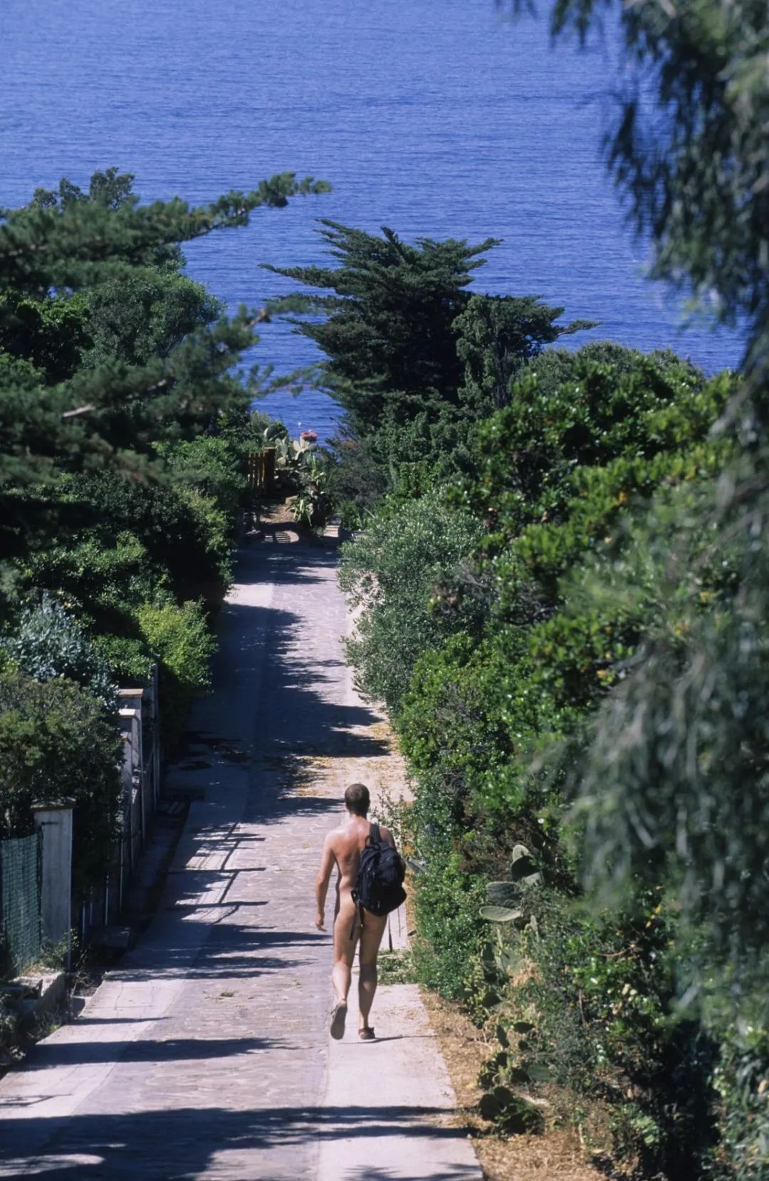 「趣闻」天堂隔离点！这个法国小岛零新冠，而且它还有个特点