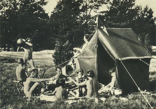 「趣闻」天堂隔离点！这个法国小岛零新冠，而且它还有个特点