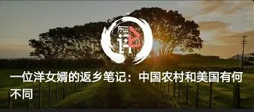 新西兰枪杀案纪实视频,加州亚裔反杀视频