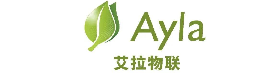 酒店企业复兴计划,酒店未来五年的发展战略方案