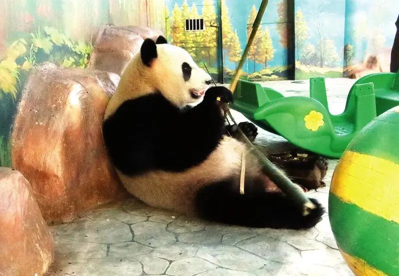 嗨森团购套餐,五一节南宁免门票景区