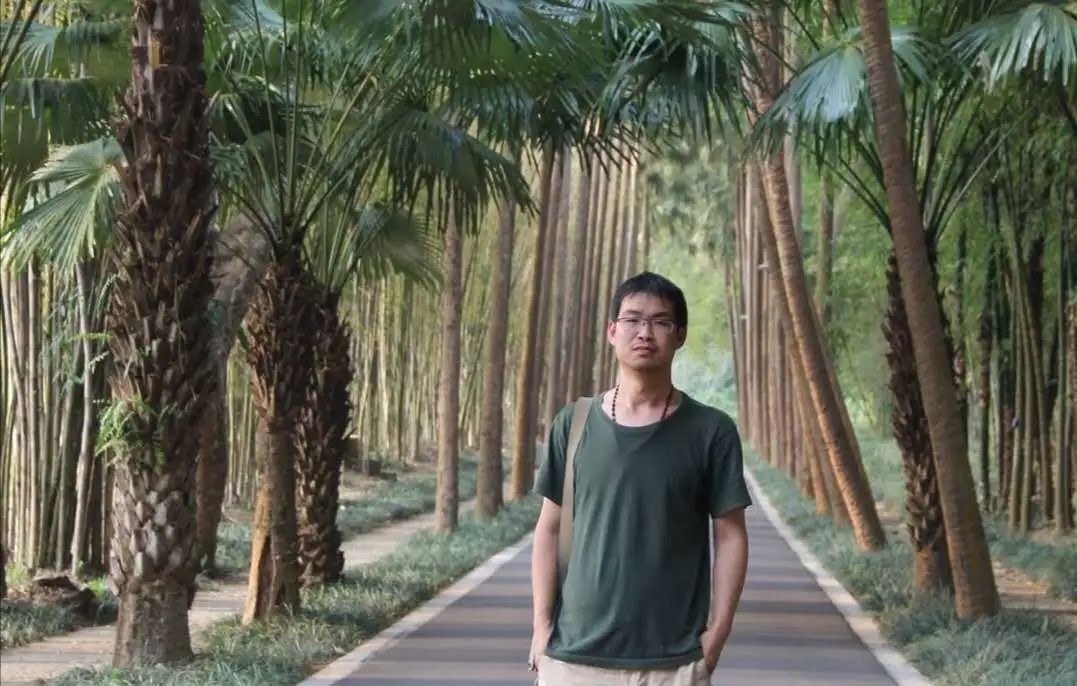 森林消防守护绿水青山,森林防火守护绿水青山绘画