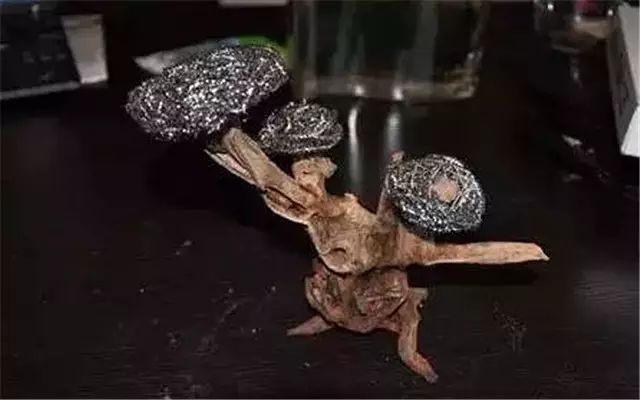 30缸一棵莫斯树造景,莫斯树和丹麦红玫瑰造景