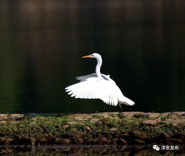 最惊艳的千岛湖,美丽壮观的千岛湖