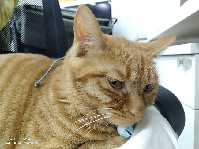 骁龙665搭载的手机,骁龙665支持玩原神吗