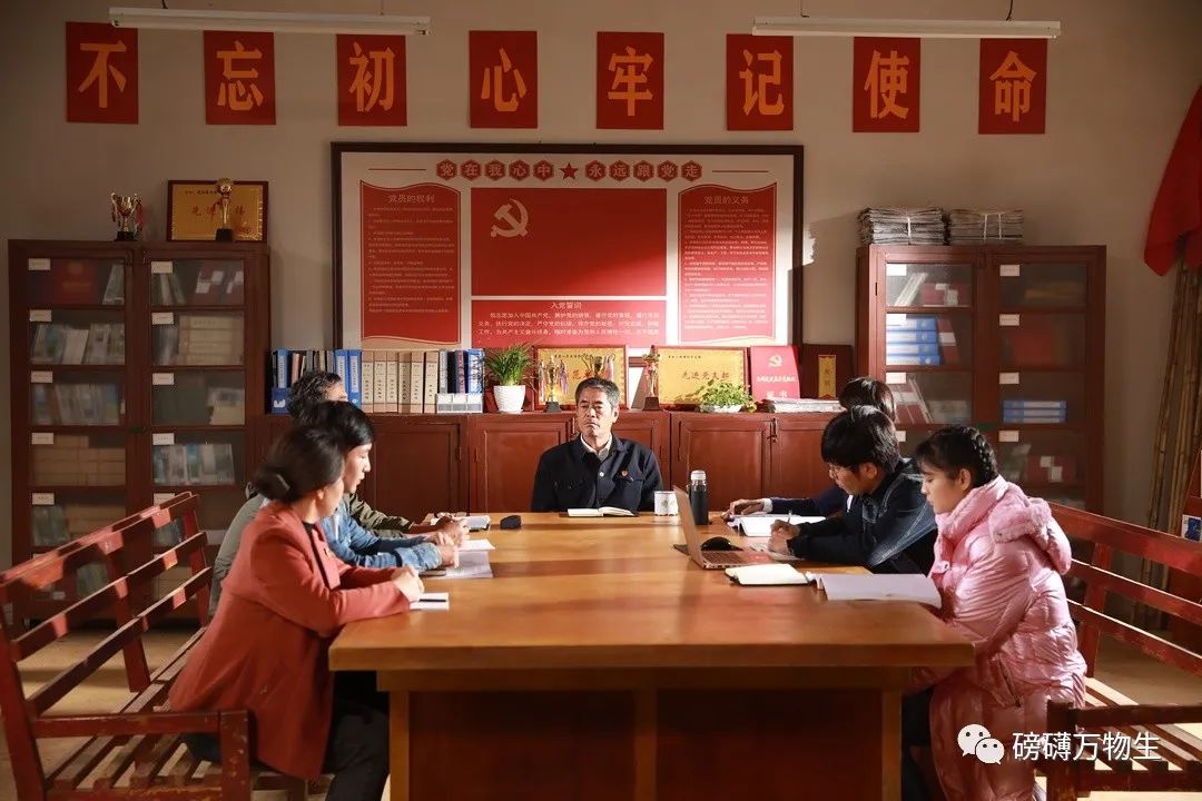 万物生电视剧,万物生微电影完整版