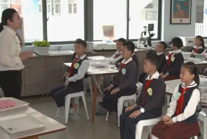 拜仁足球学校落户深圳哪里,龙岗科高拜仁足球学校