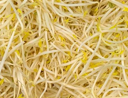 樱桃保存最佳方法快递,樱桃怎么样才能放冰箱保鲜