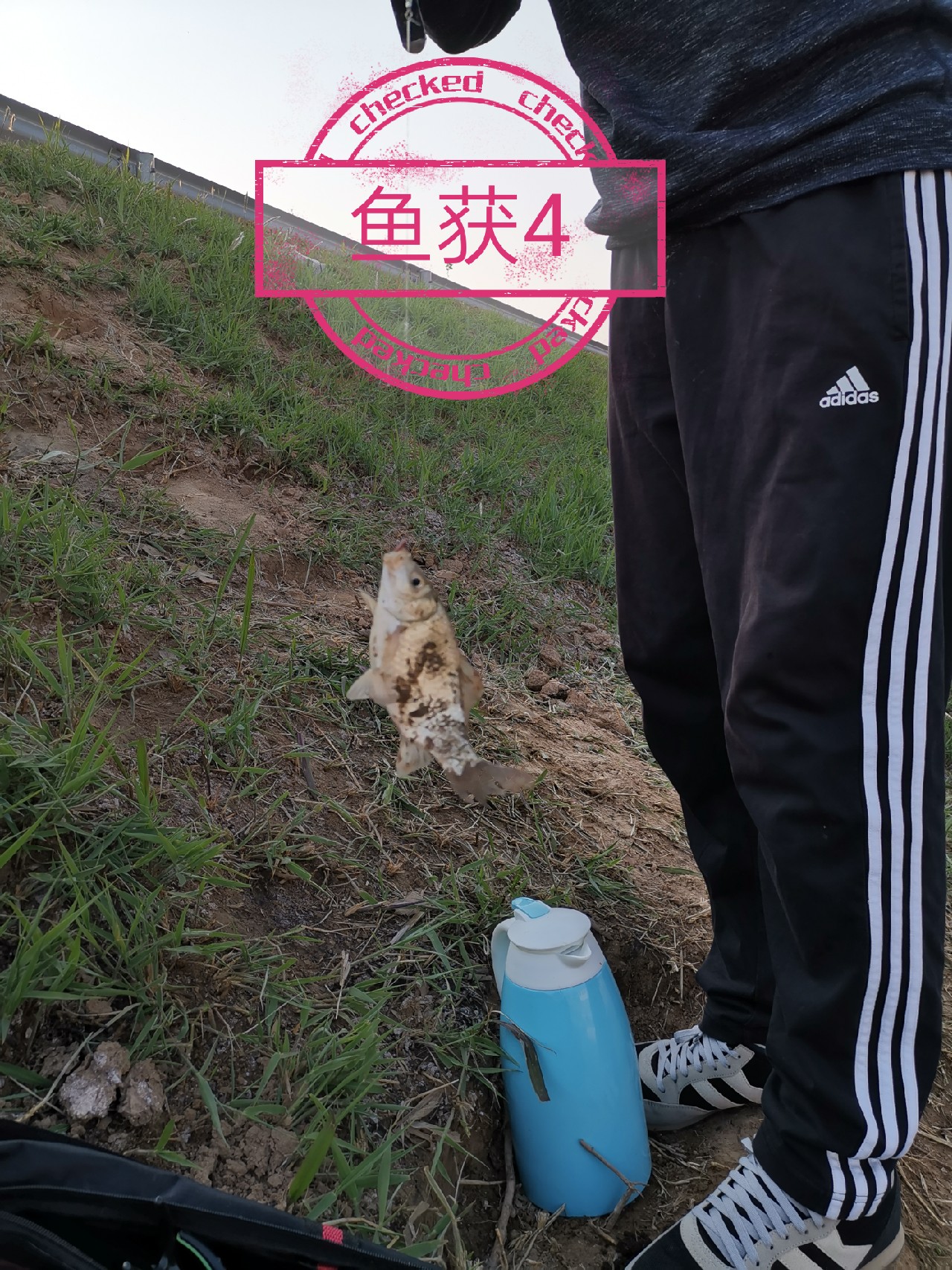 出钓带上媳妇：钓者心如水，伊人最浓情